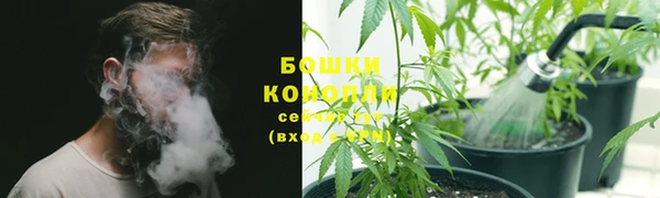 гидропоника Богородск