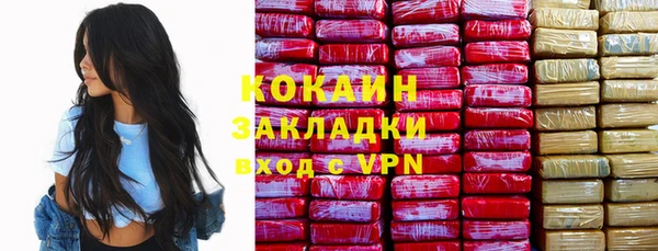 твердый Богданович