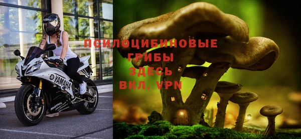 гидропоника Богородск